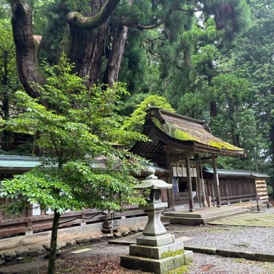 静かな神社巡礼