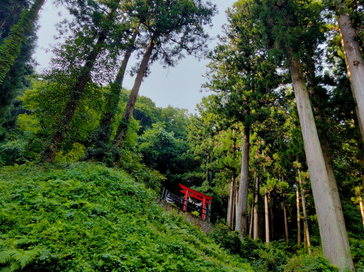 宮城県最強パワースポット『龍神の神・龍口神社』