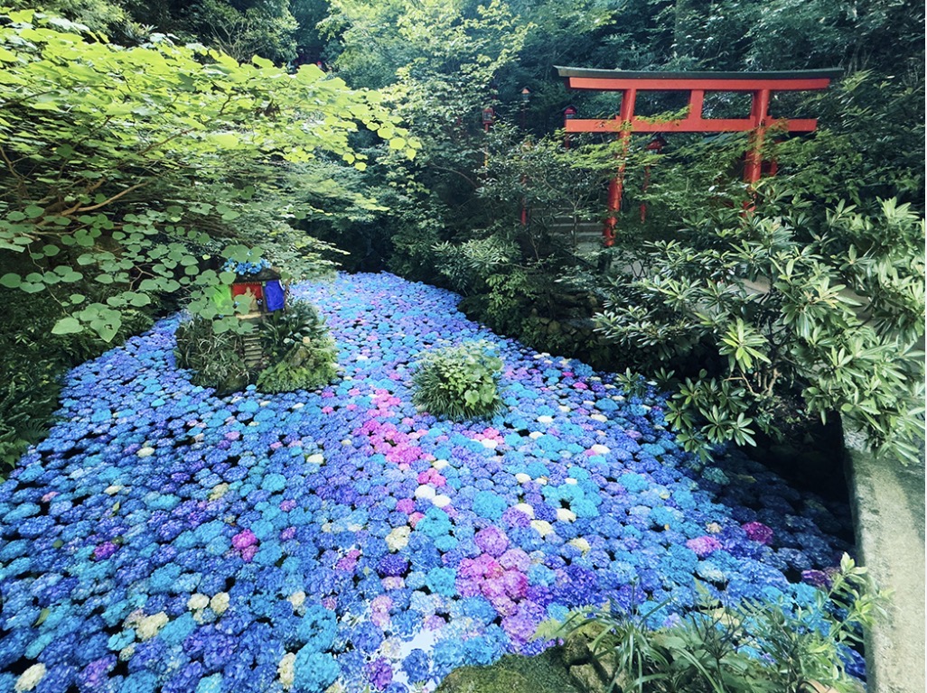 福岡・南蔵院で金運と心を整える女性限定の祈り旅